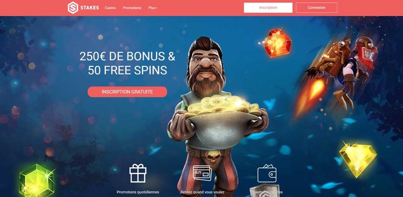 Présentation de stake casino en france